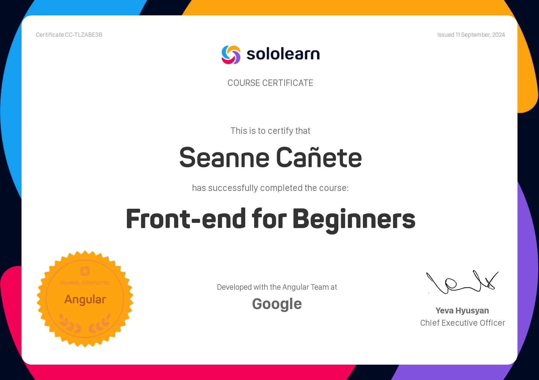 Frontend for Beginners - Solo Learn preview