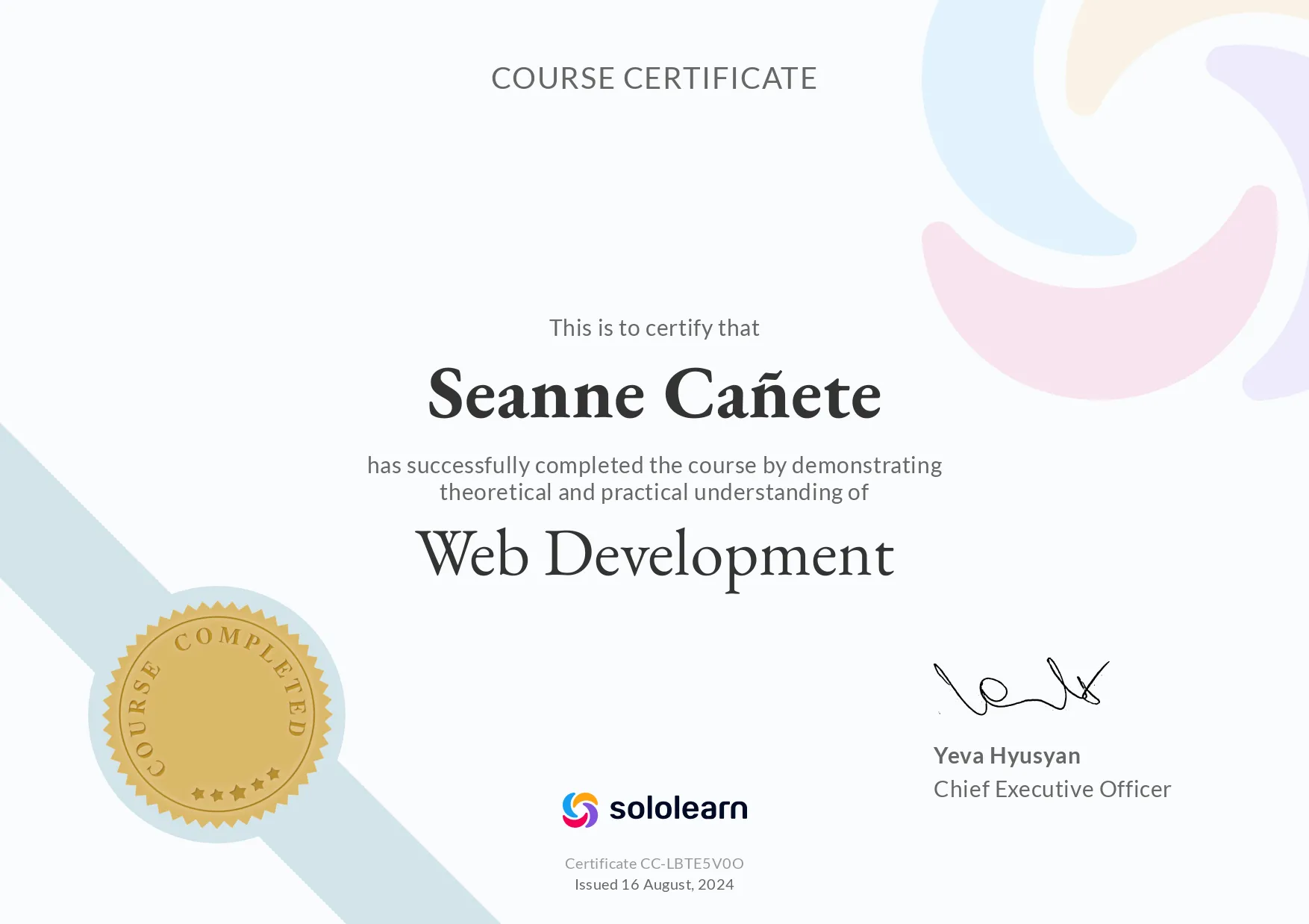Web Development - Solo Learn preview