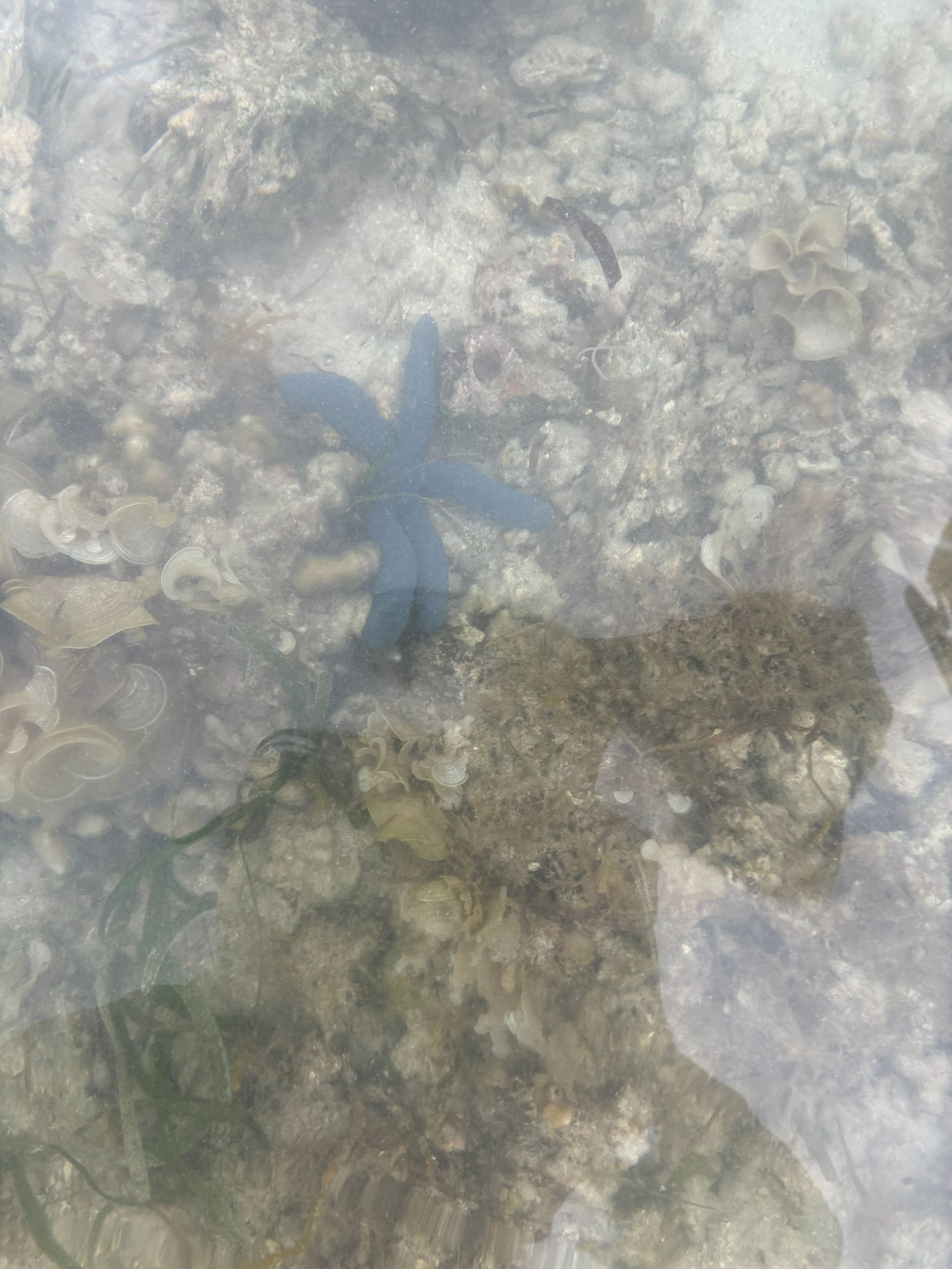 Talicud Island Hopping — photo 9